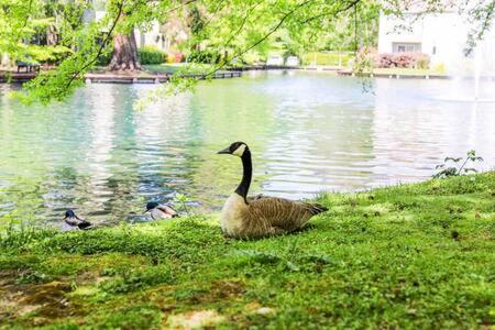 Experience Sacramento With Tranquil Lakeside Views 外观 照片
